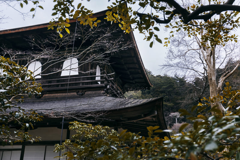 Traditional wooden home partially hidden by trees and branches. Traditional wooden home partially hidden by trees and branches.