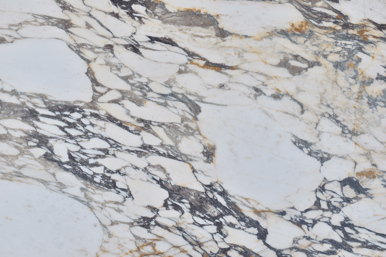 Calacatta Oro Monet Honed - Marble - New Orleans | The Stone Gallery