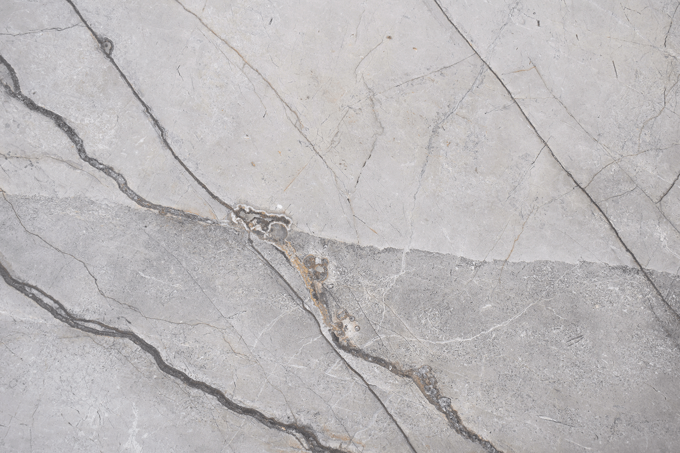 Silver Roots Honed - Marble - New Orleans | The Stone Gallery
