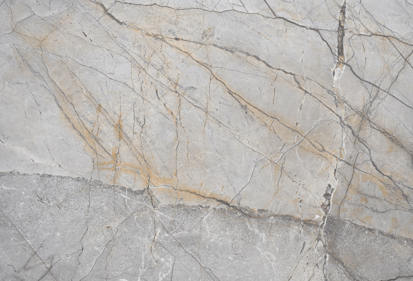 Silver Roots Honed - Marble - New Orleans | The Stone Gallery