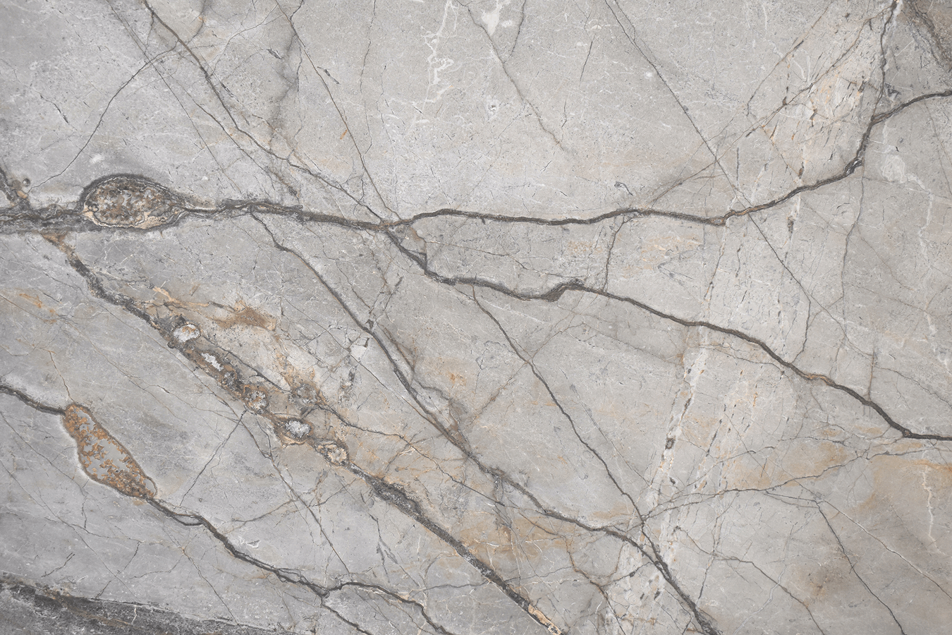 Silver Roots Honed - Marble - New Orleans | The Stone Gallery