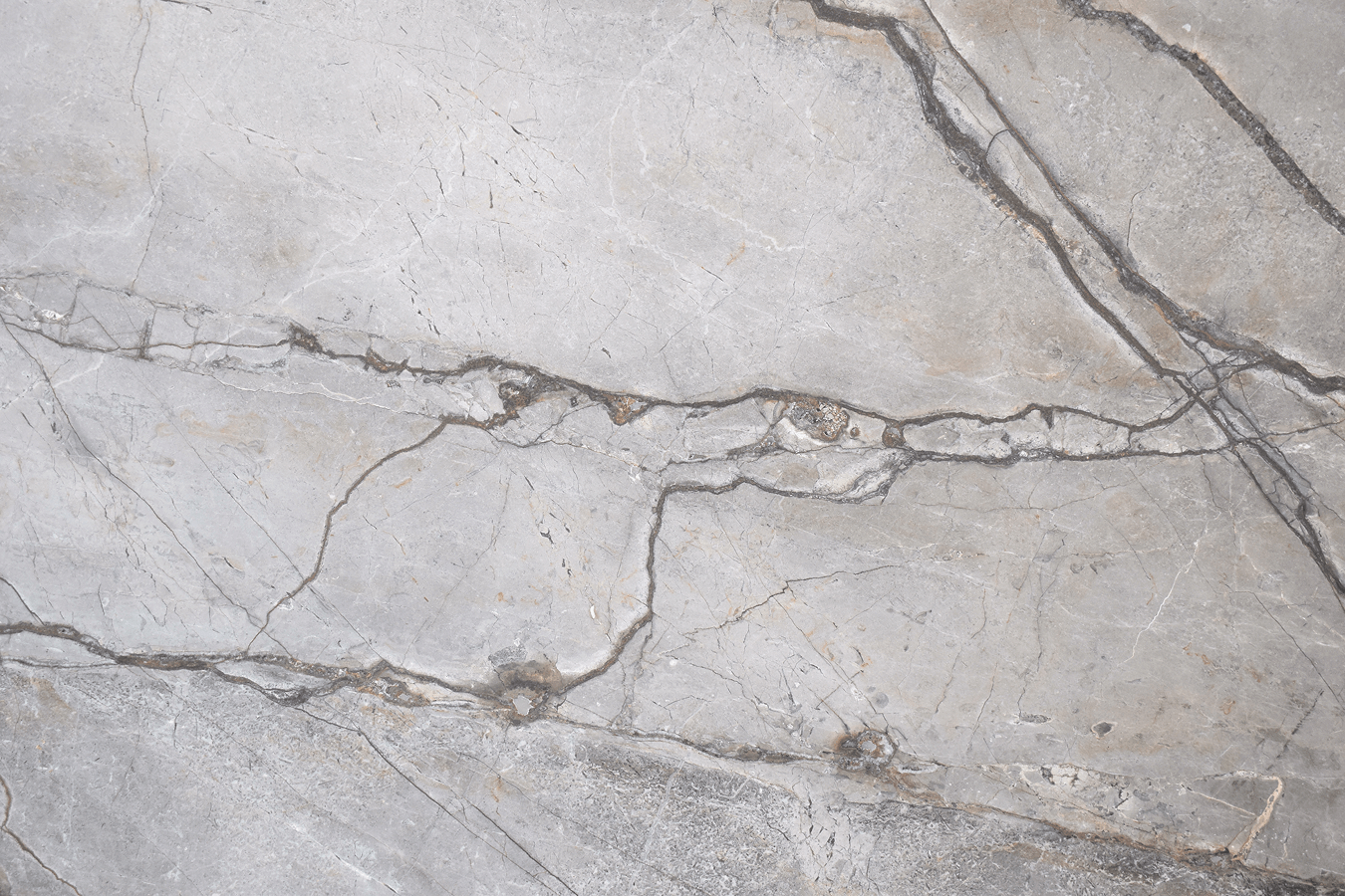 Silver Roots Honed - Marble - New Orleans | The Stone Gallery