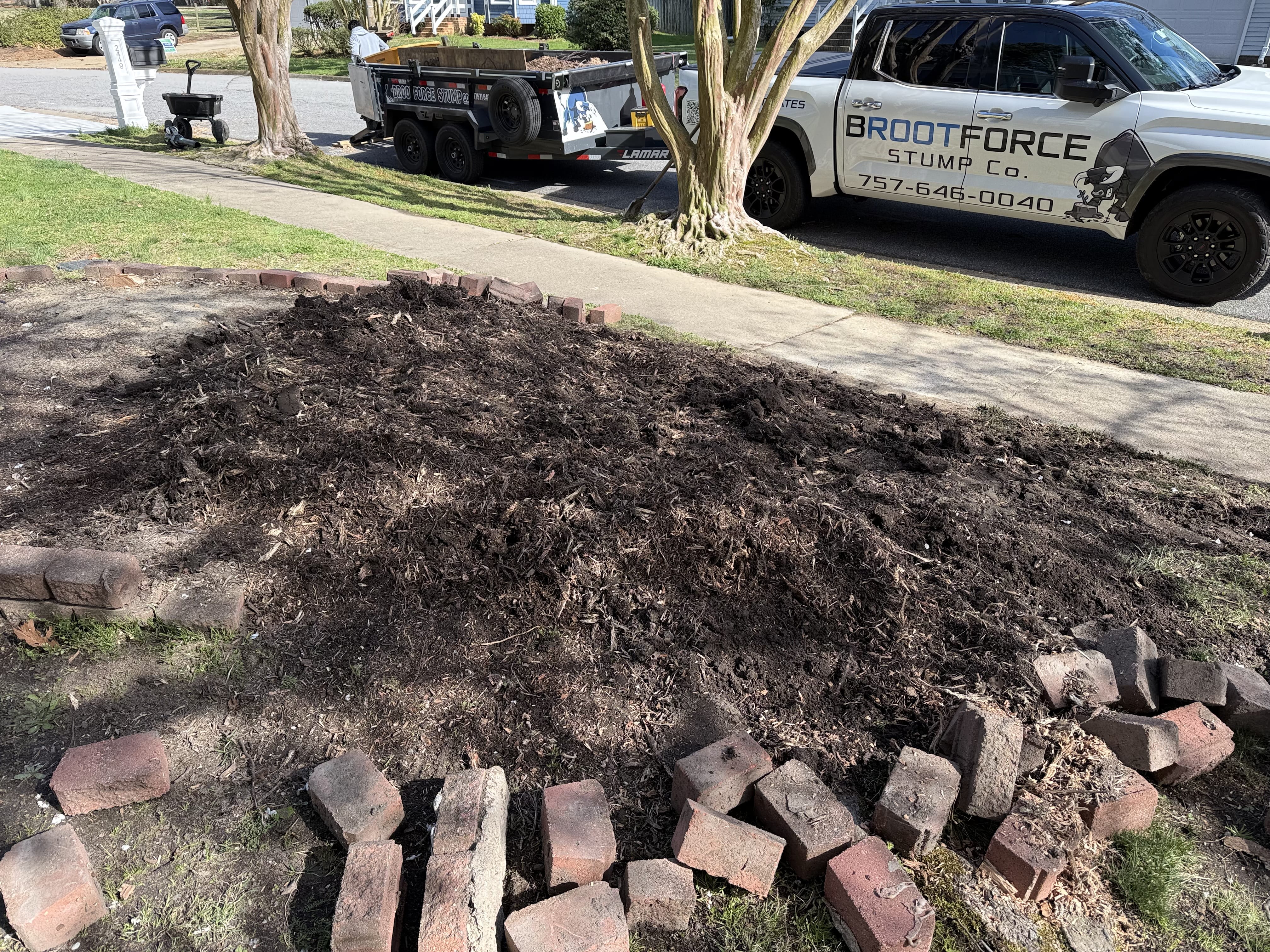 Stump grinding service in Virginia Beach, VA — BROOTFORCE STUMP Co