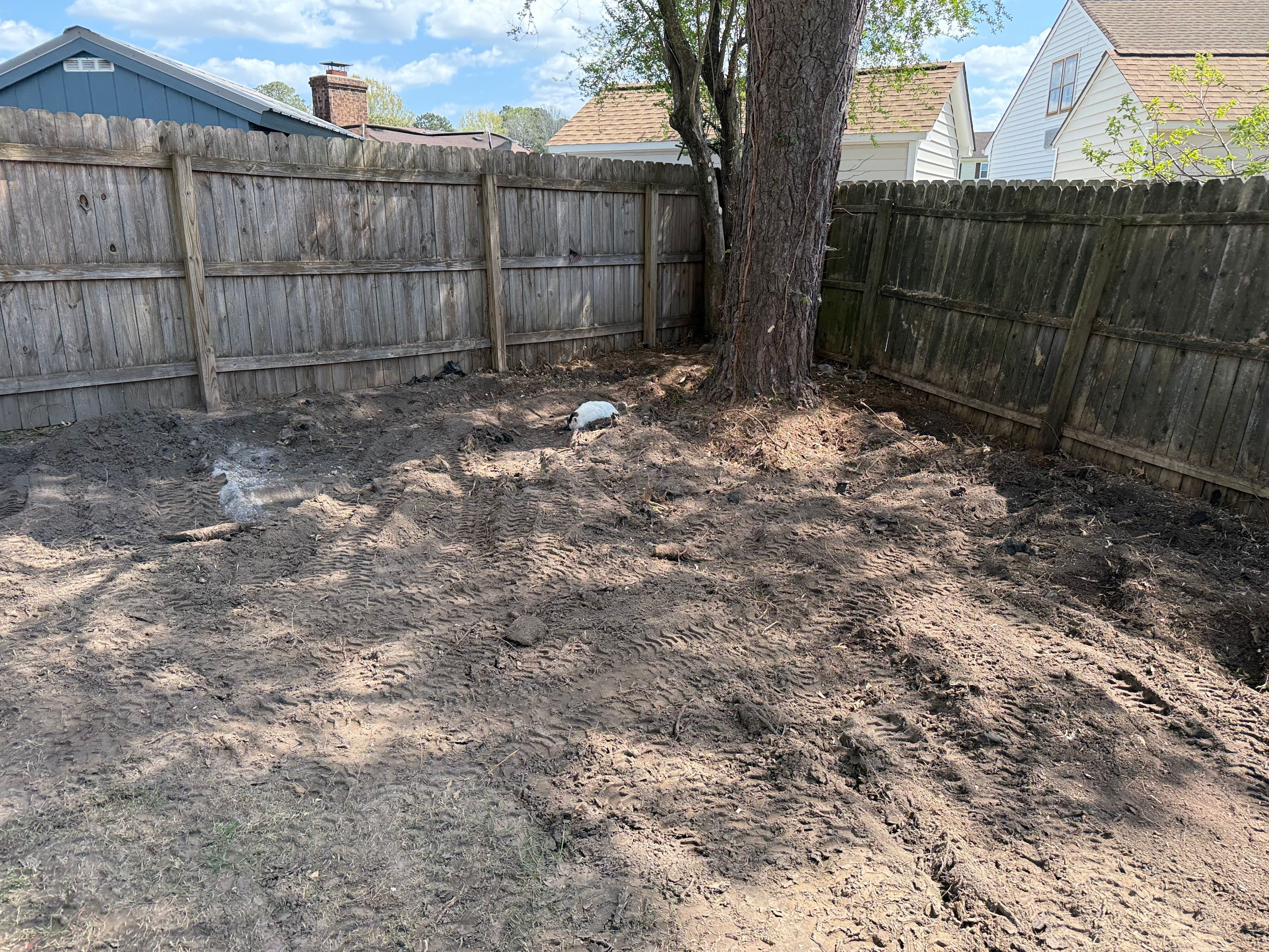 Root Removal Virginia Root Removal Virginia