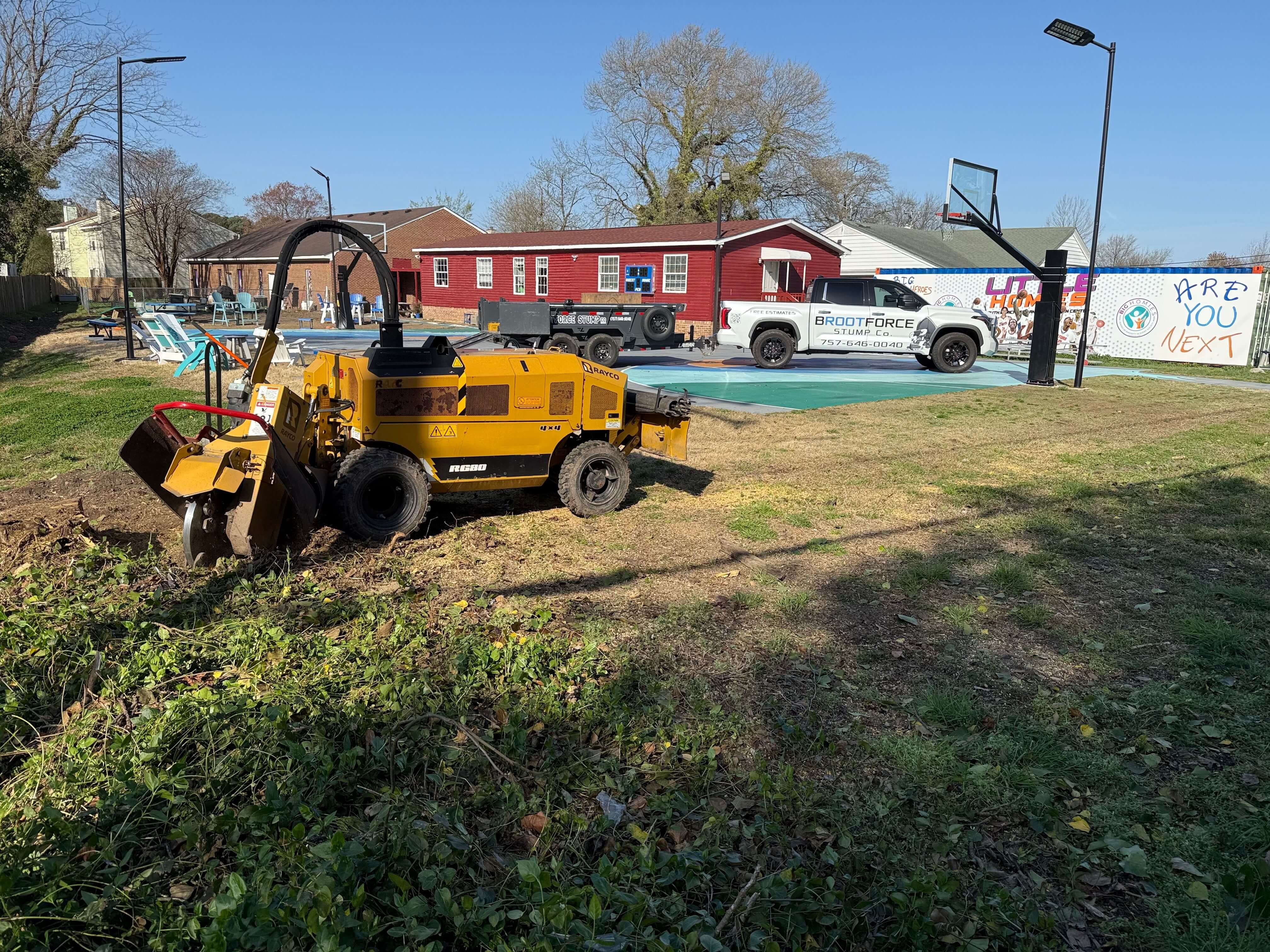 Stump Grinding