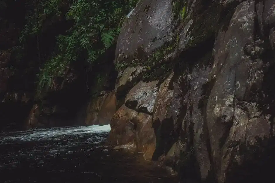 View of a Rocky Wall with Tropical Trees and a Body of Water 