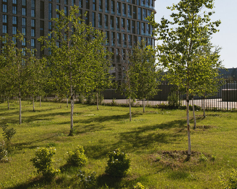 Landscaped municipal grounds with young trees in front of a modern government building
