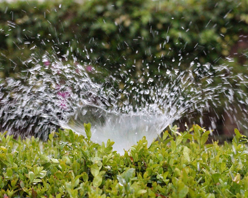 Sprinkler system watering shrubs, representing irrigation and water management for large commercial landscapes.