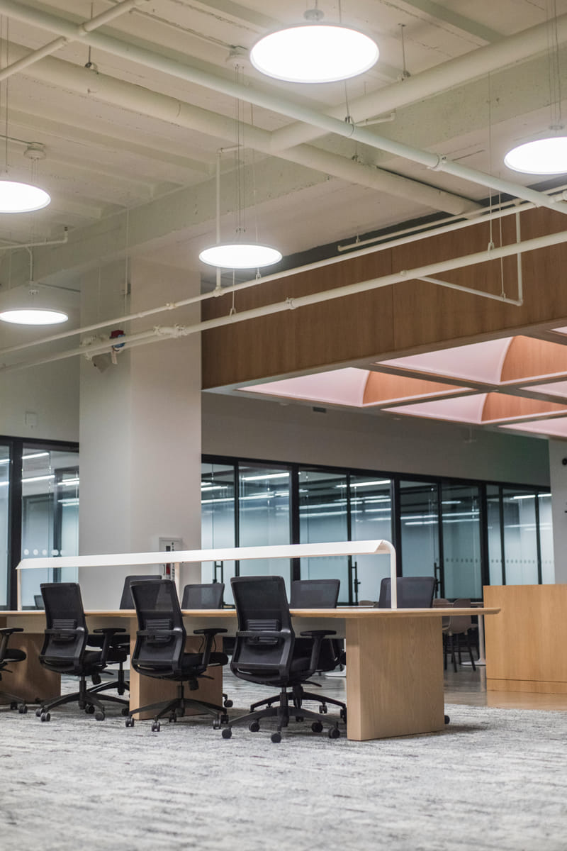 Modern Sacramento office workspace with open desks and overhead lighting, representing environments protected by commercial pest control. Modern Sacramento office workspace with open desks and overhead lighting, representing environments protected by commercial pest control.