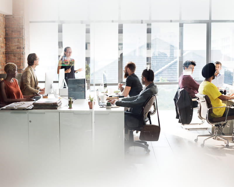 Office team meeting in a bright conference space, demonstrating the need for a clean, pest-free workplace. Office team meeting in a bright conference space, demonstrating the need for a clean, pest-free workplace.