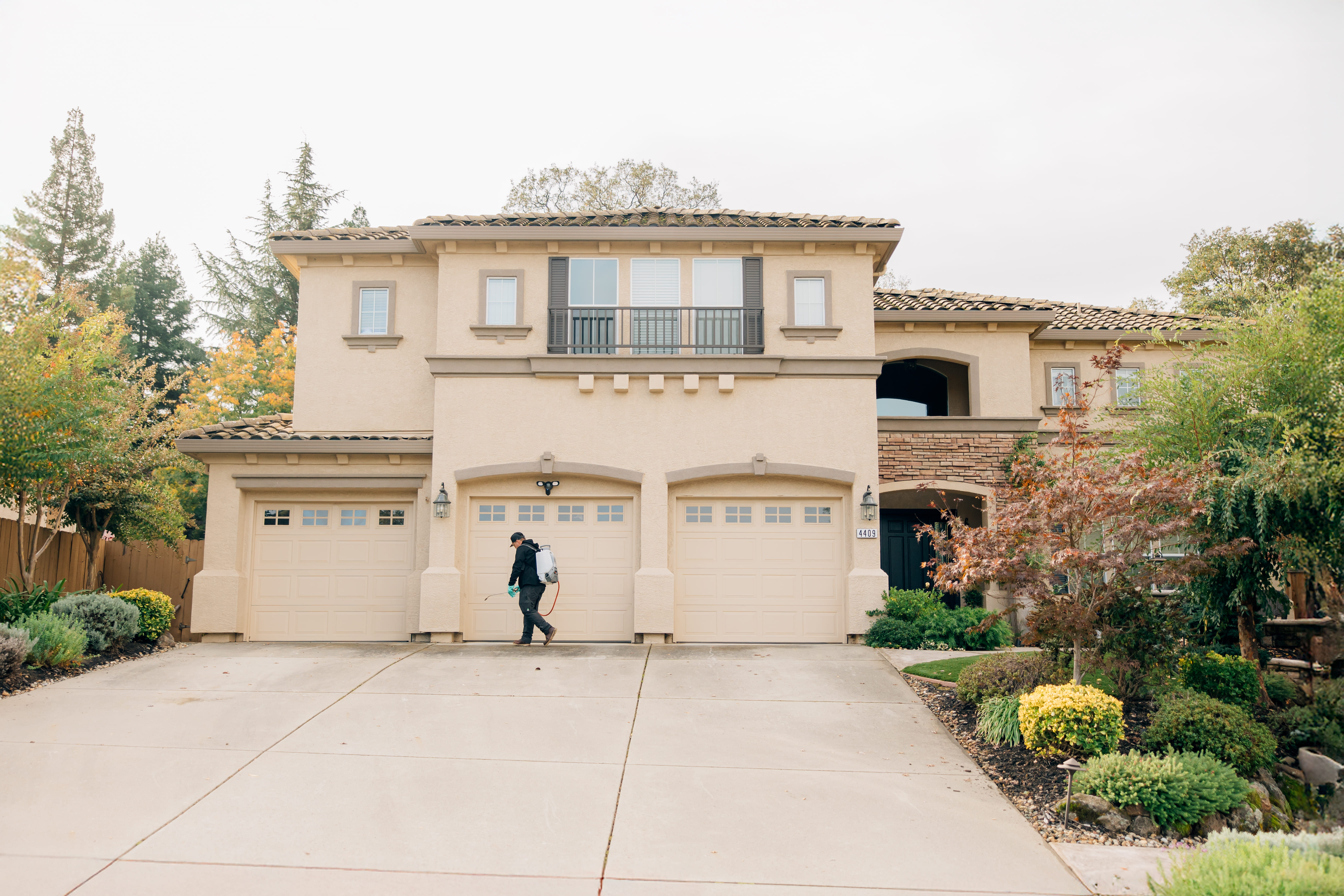 Residential pest control services in Sacramento