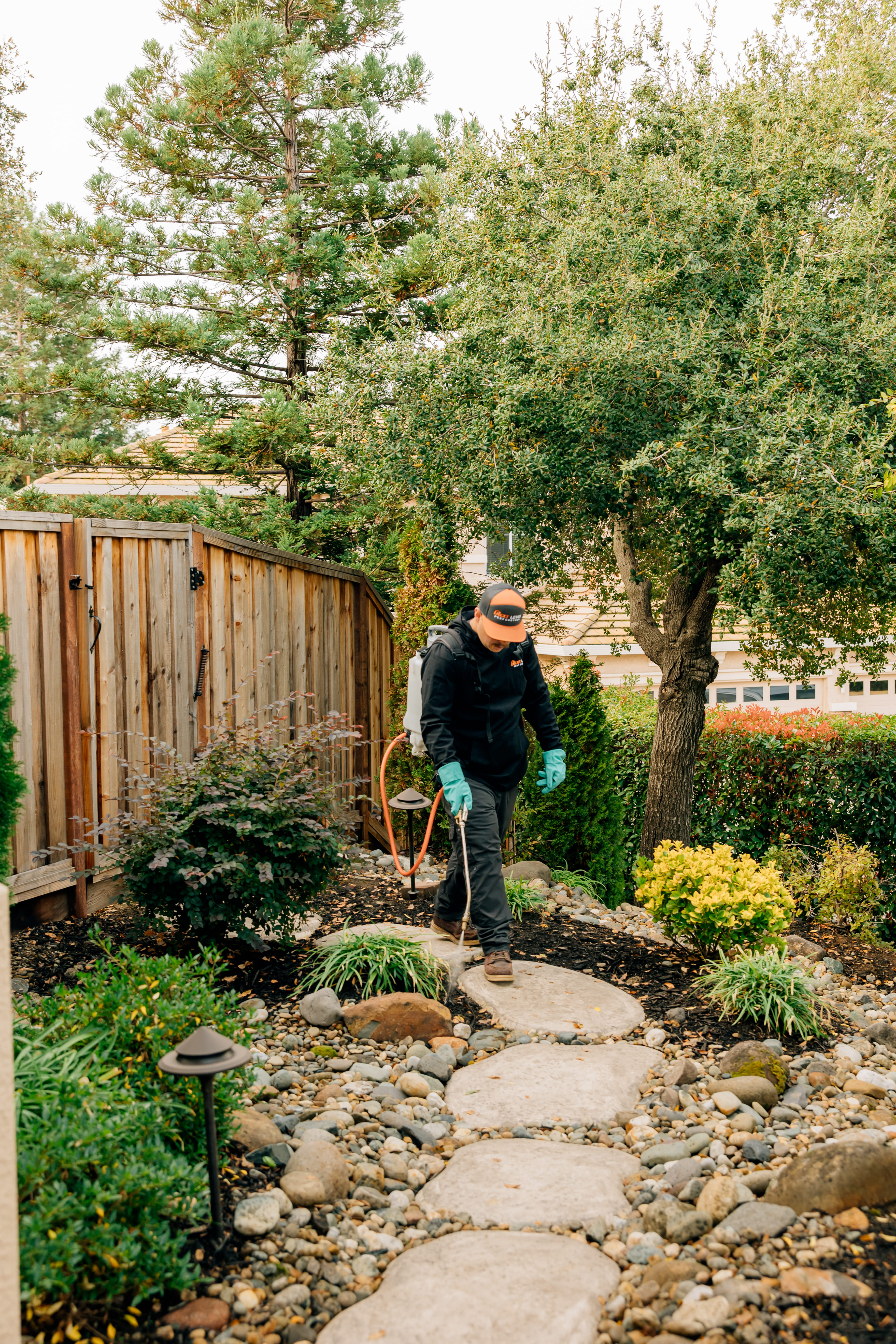 Exterior home treatment Exterior home treatment