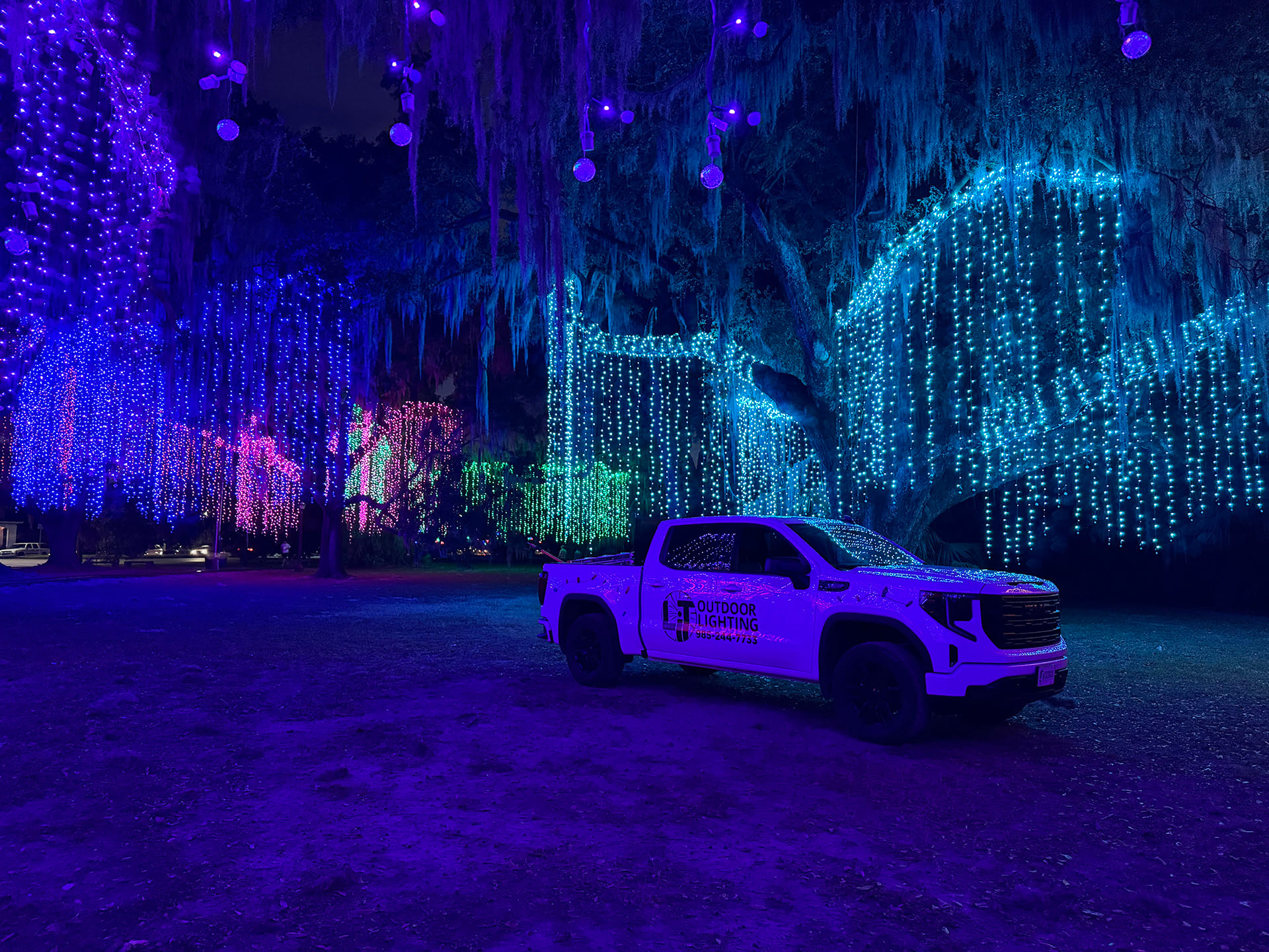 Lights on trees covered in Spanish moss in New Orleans, LA