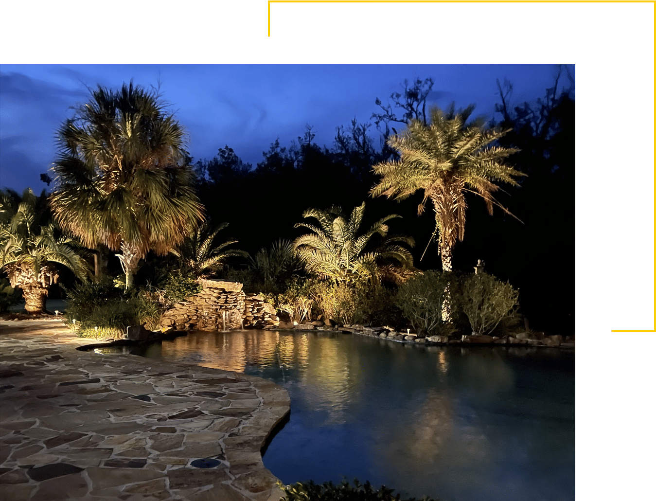 Poolside lighting illuminating palm trees near inground pool