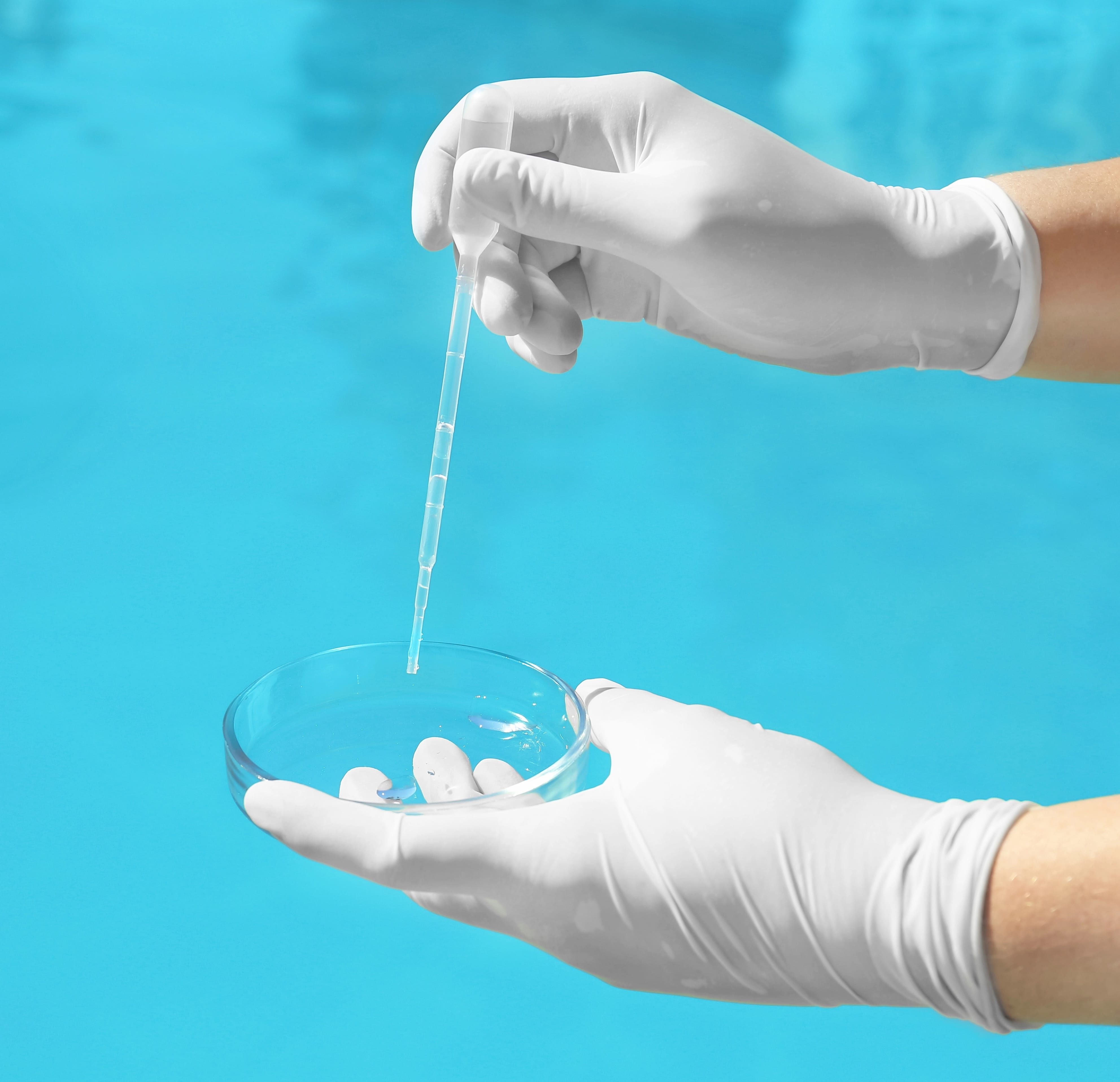 expert checking the pool water