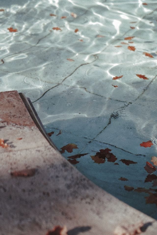 white tile in swimming pool with fall leaves sunk into the water