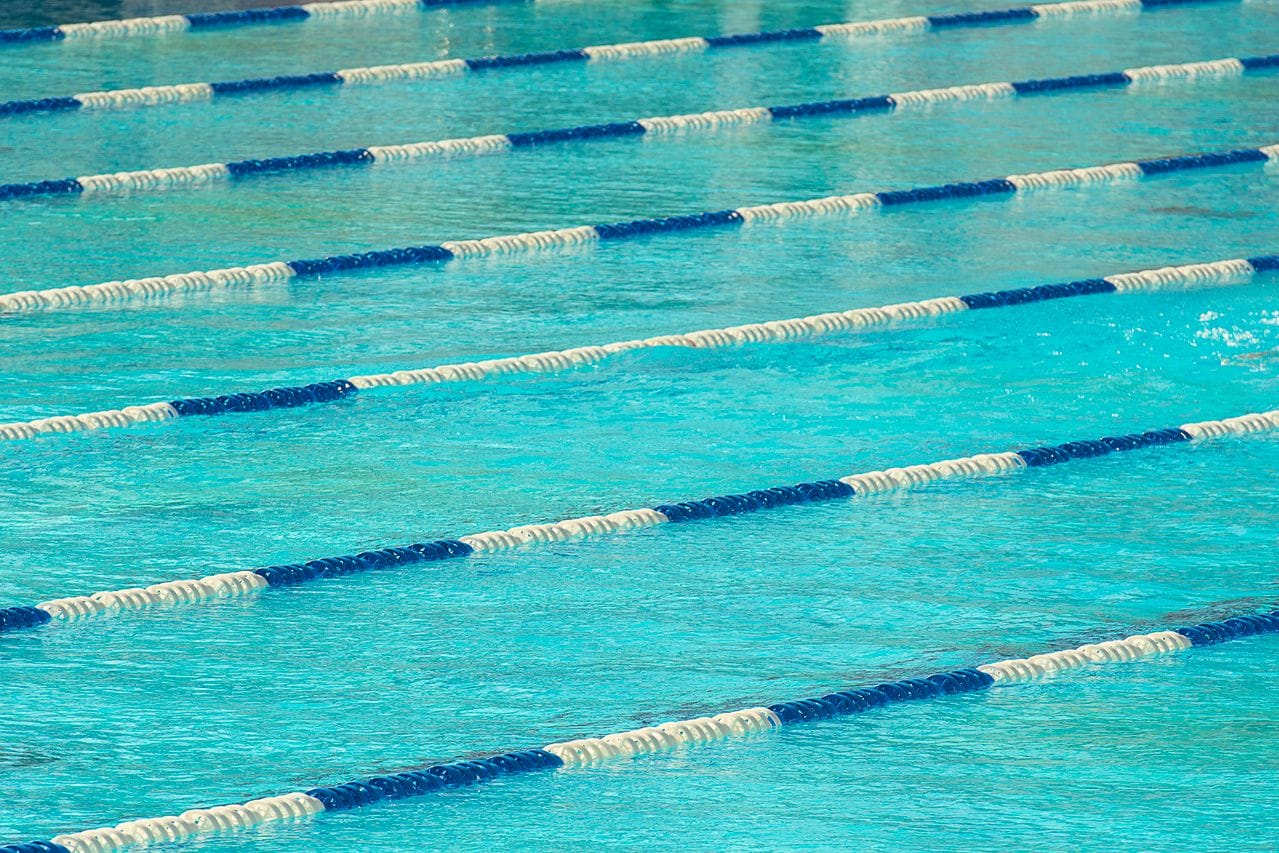 white and blue safety ropes floating atop Olympic pool
