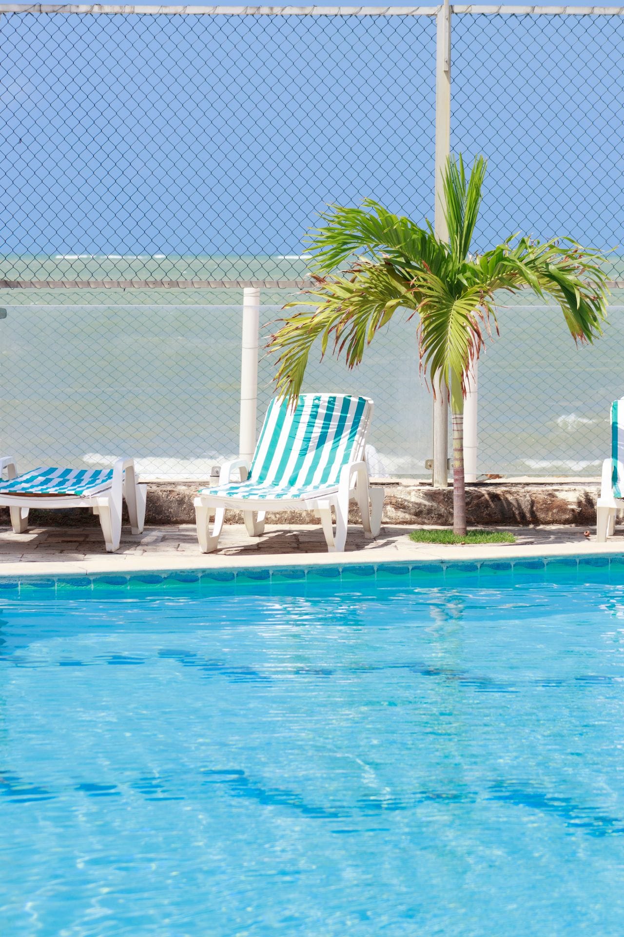 Poolside lounge chairs with palm tree and ocean view