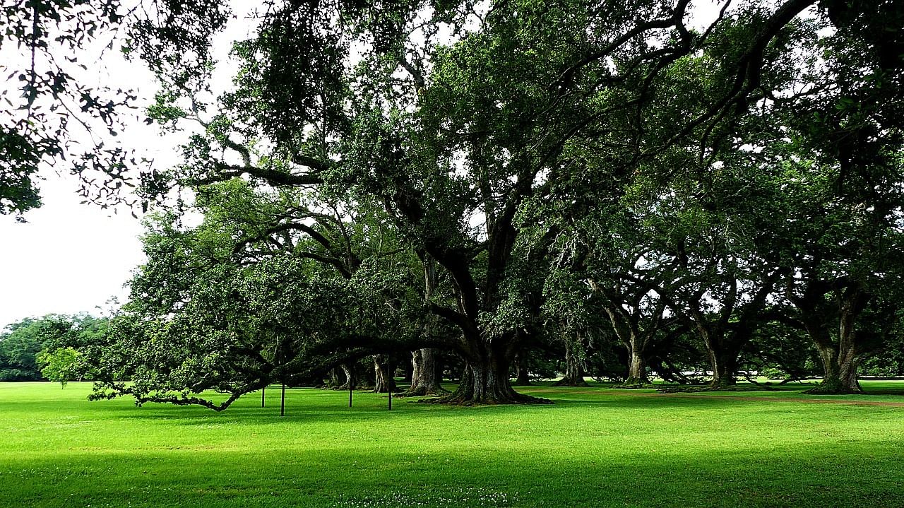 Hospice Care Metairie, LA