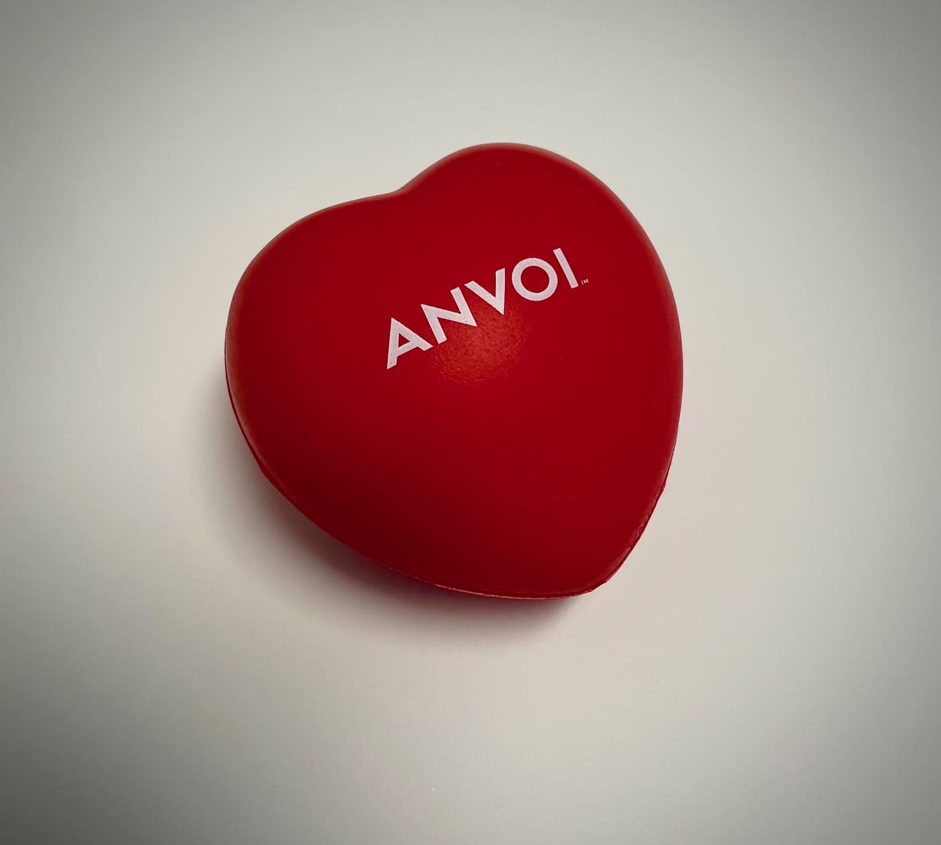 Anvoi hospice team members