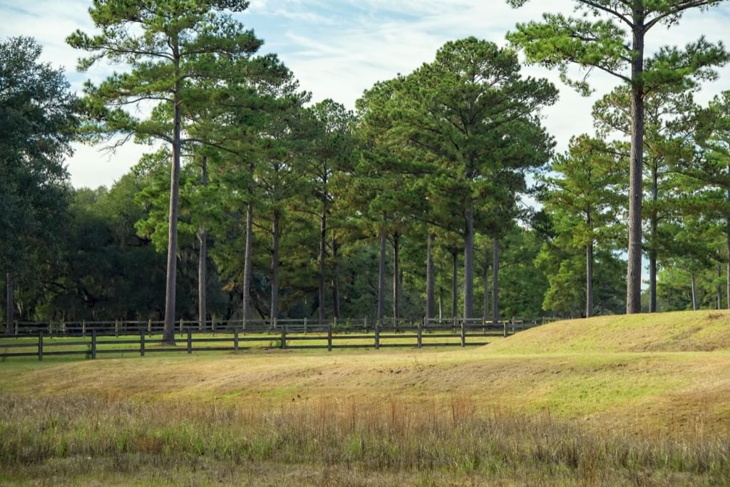 Hospice in Hattiesburg