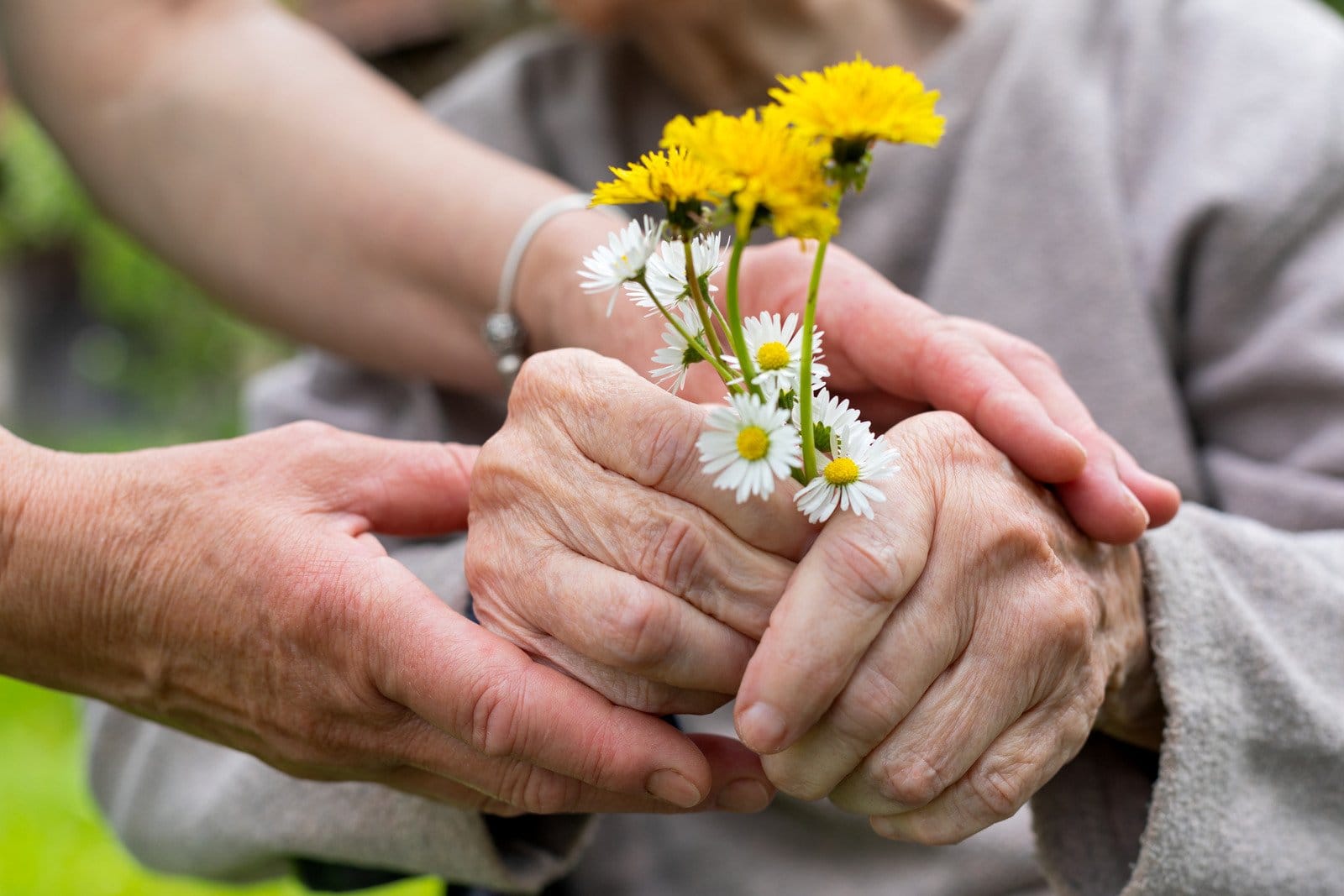 elderly care hands with flowers