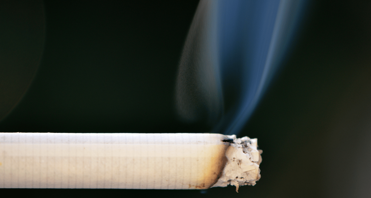 Close-up of burning cigarette with smoke rising from ash