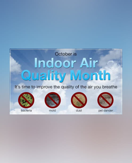 Dealing with Mold in the Home