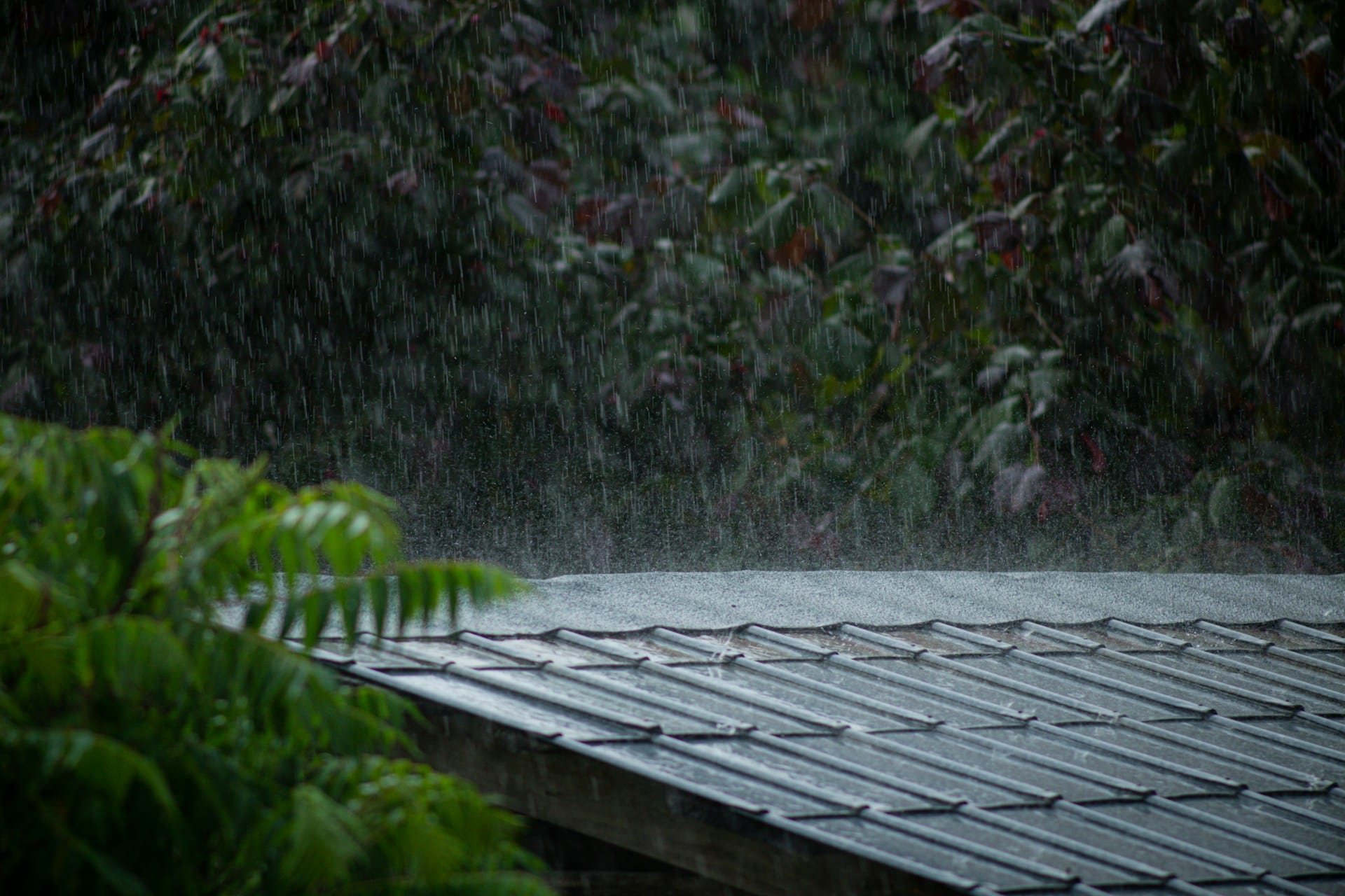 Rainwater flowing over residential roof shingles during heavy rainfall
