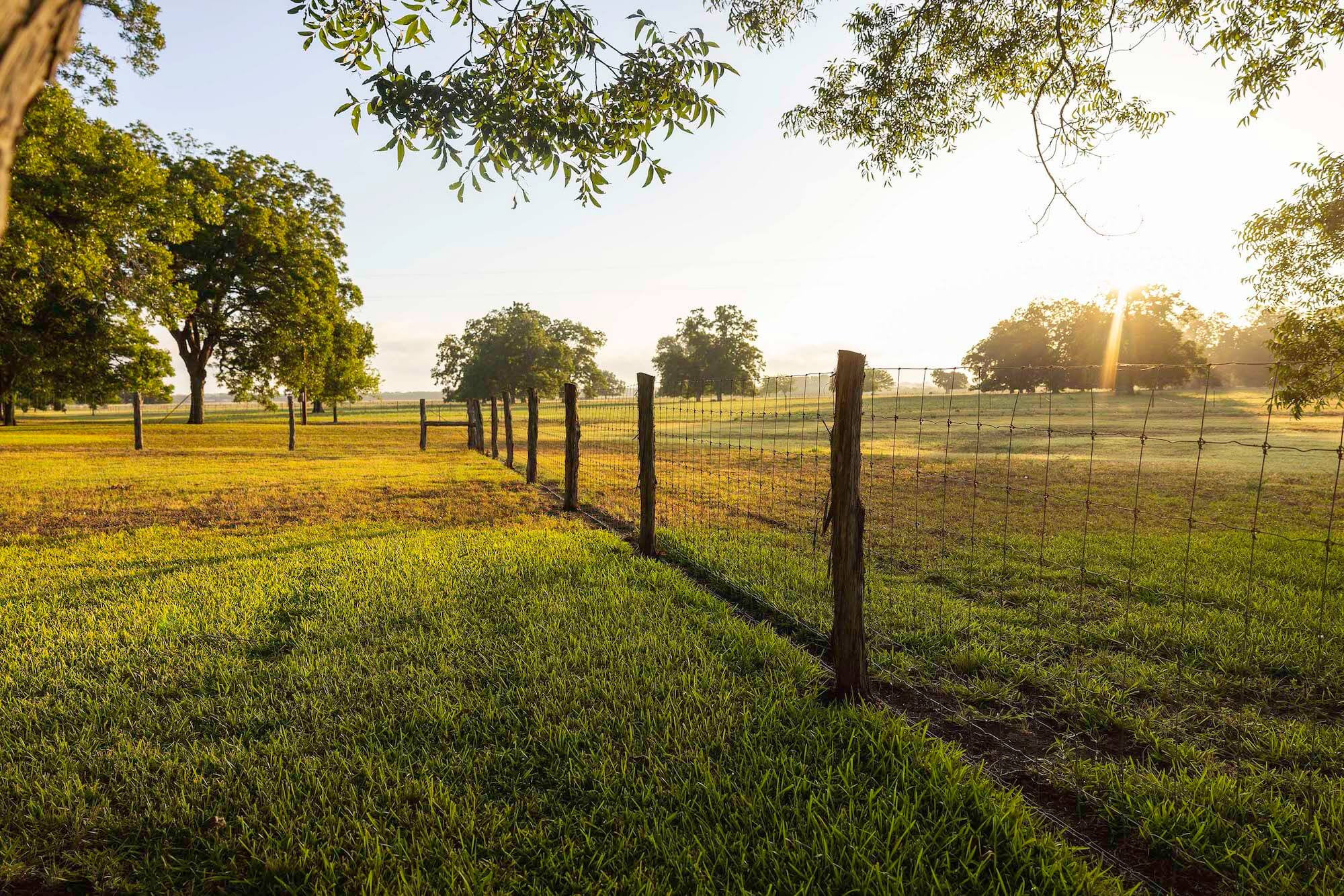 Our History | Santos Patronos Ranch