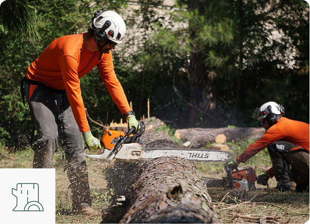 Tree Cutting Services in natalbany, LA