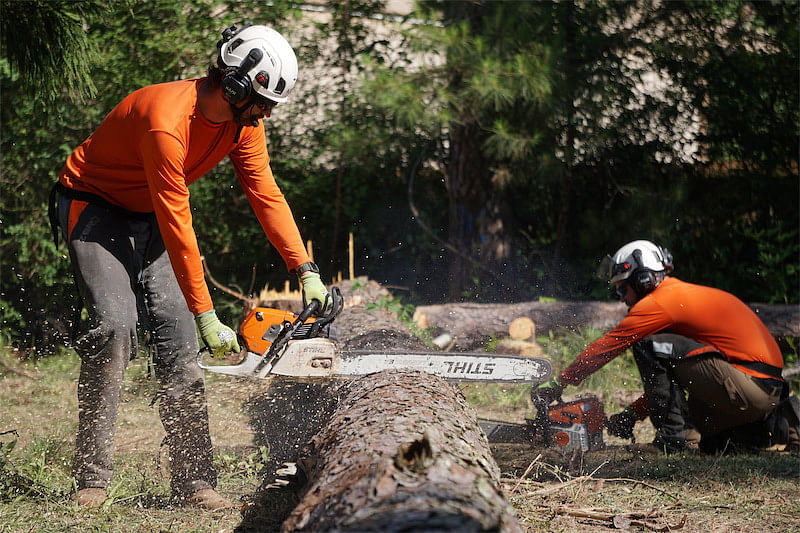 Tree Cutting Services in Amite, LA