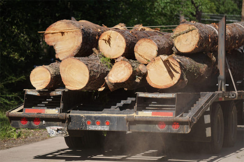 Tree Hauling Services Loranger, LA