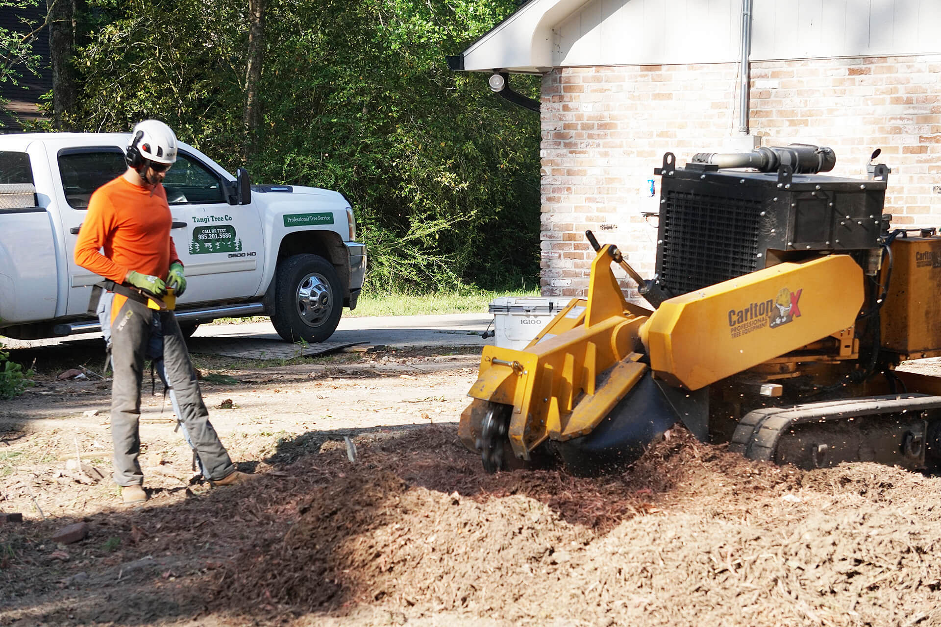 Ponchatoula Stump Grinding Services