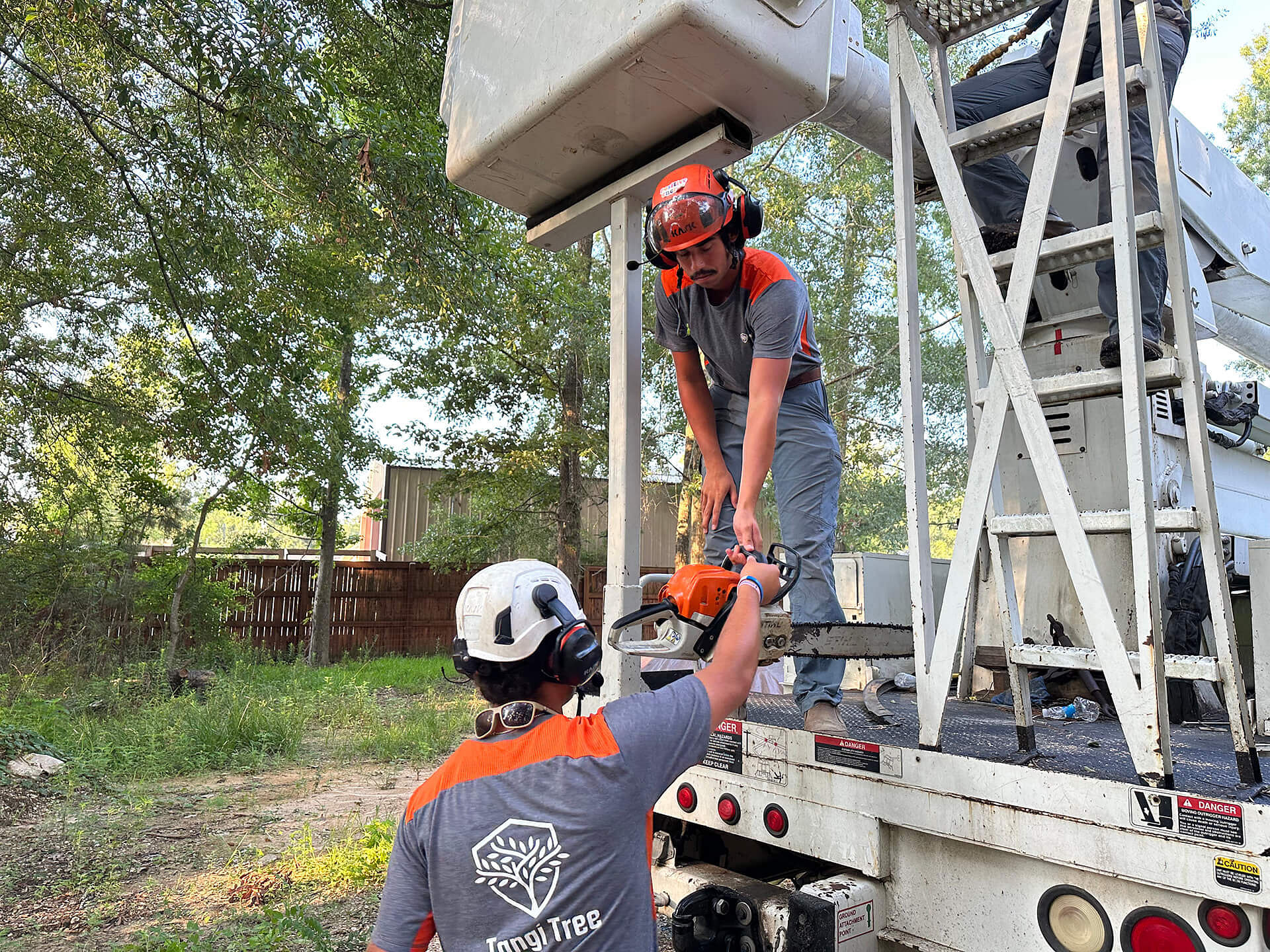 Emergency Tree Services in Hammond, LA