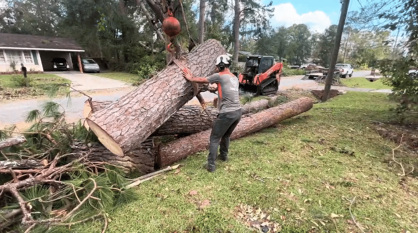 Emergency Tree Services in Hammond, LA