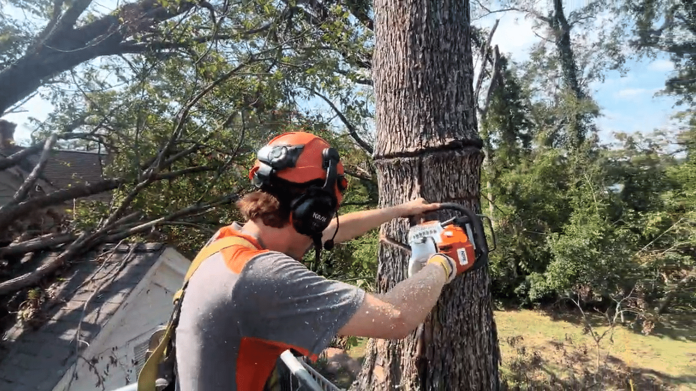 Storm Damage Cleanup & Preparedness