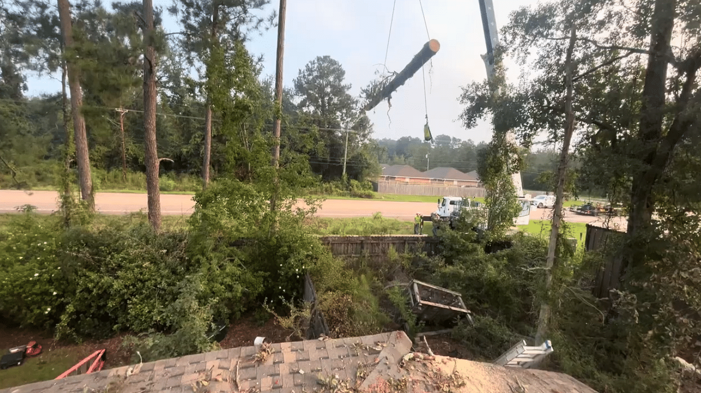 Emergency Tree Services in Hammond, LA