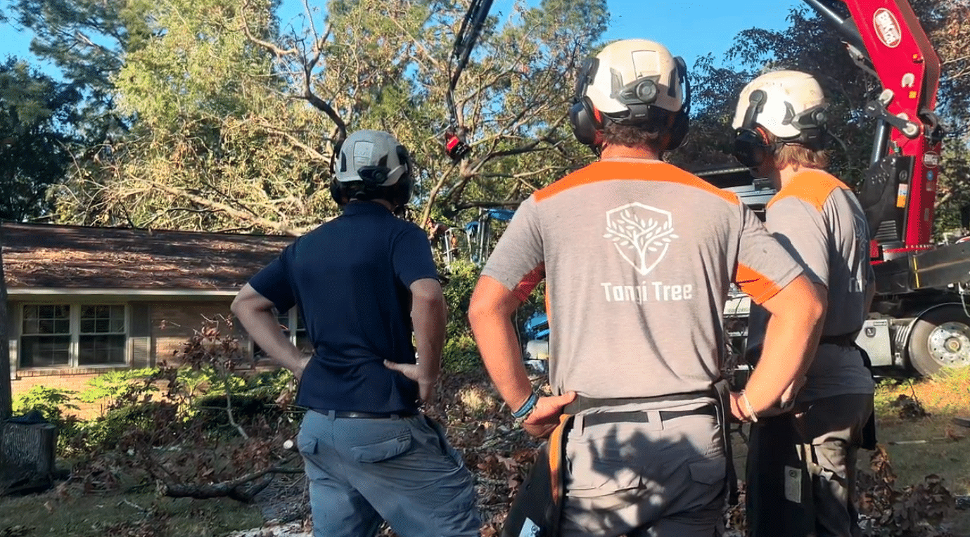 Emergency Tree Services in Hammond, LA