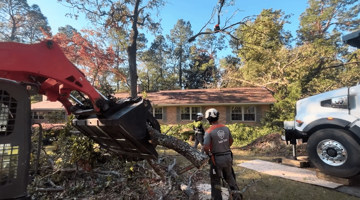 Emergency Tree Services in Hammond, LA