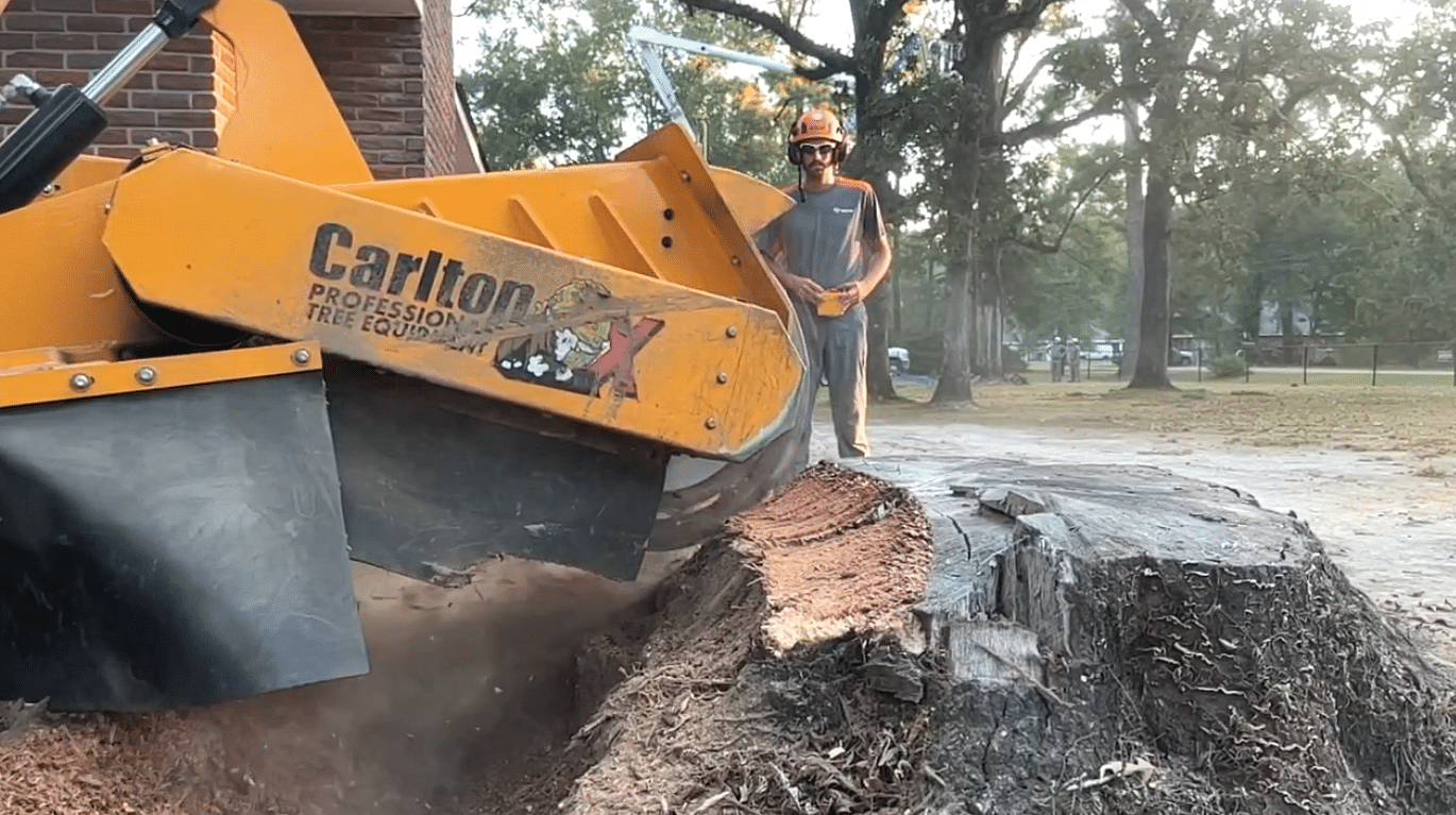 Stump Grinding & Removal Services in Hammond, LA