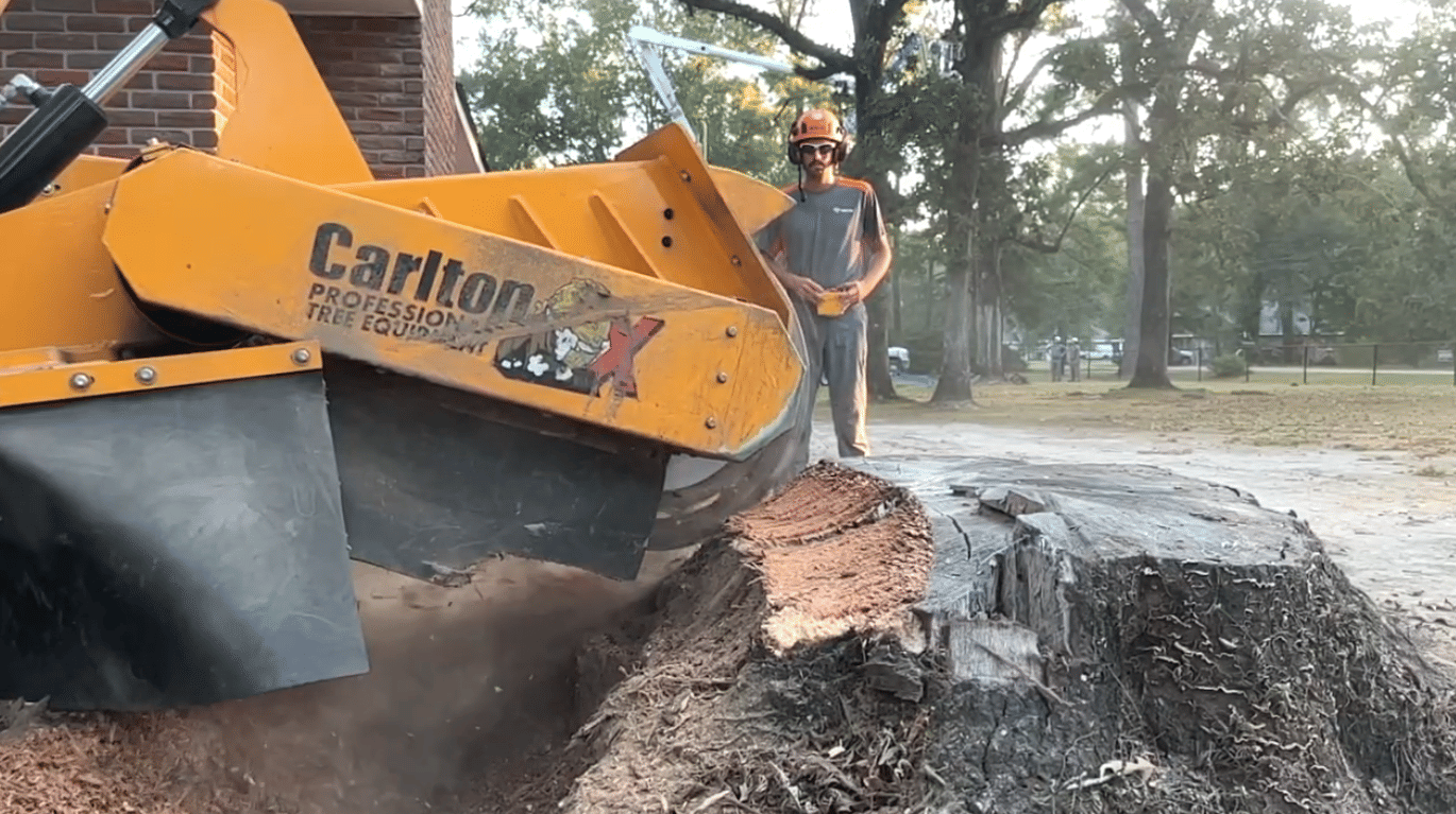 Amite Stump Grinding Services