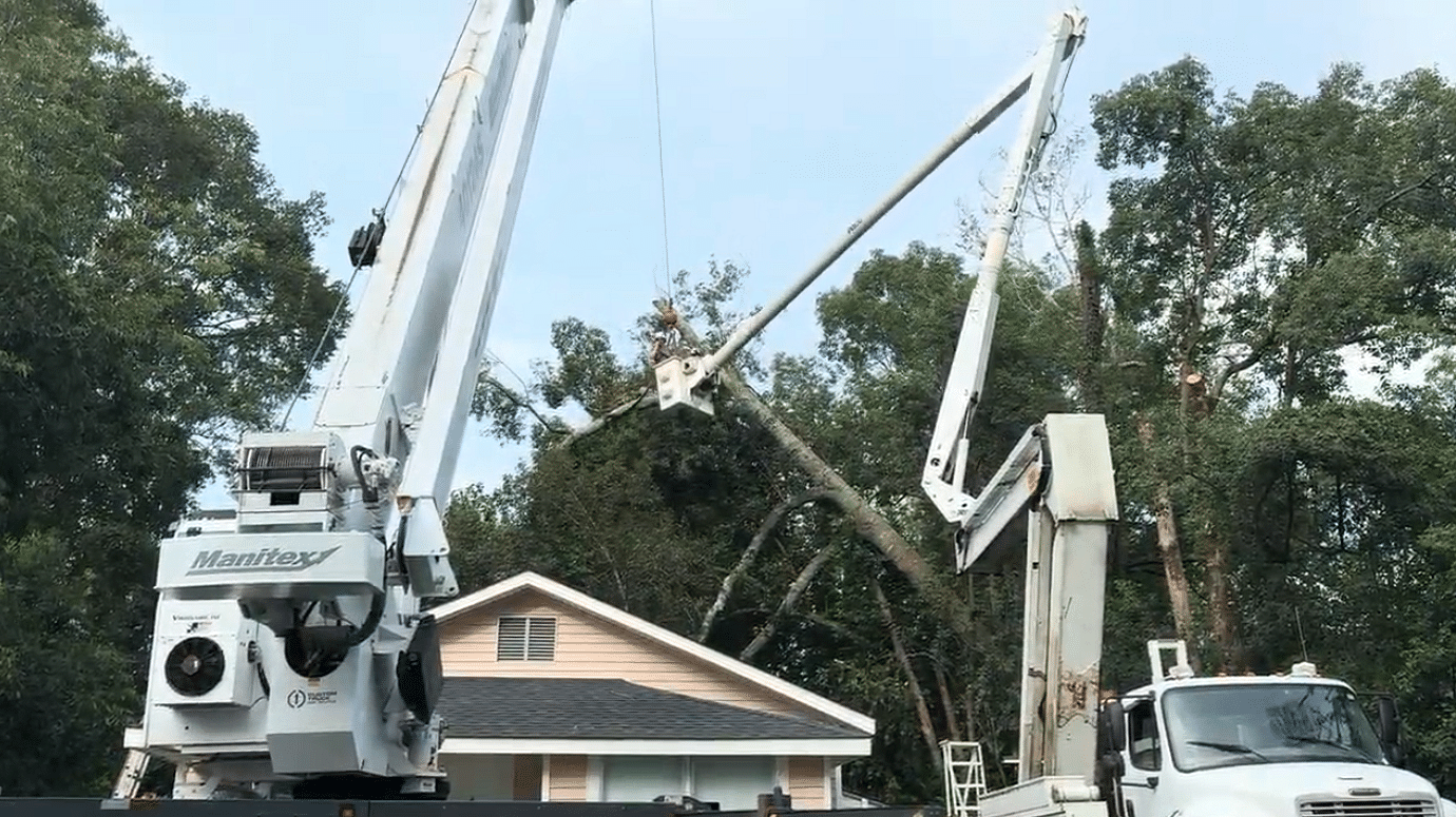 Tree Removal Hammond,