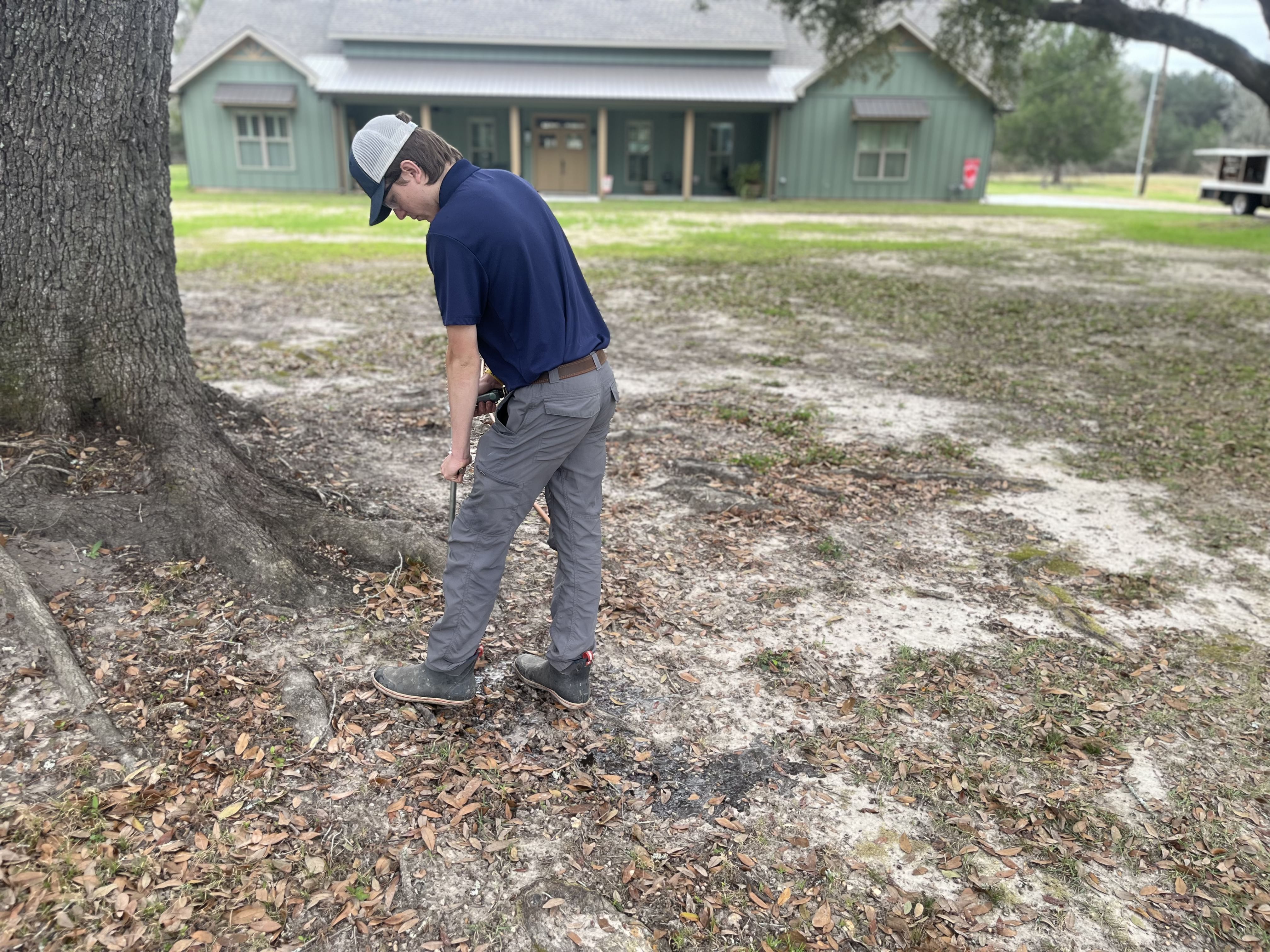 Tree Hauling Services Livingston, LA