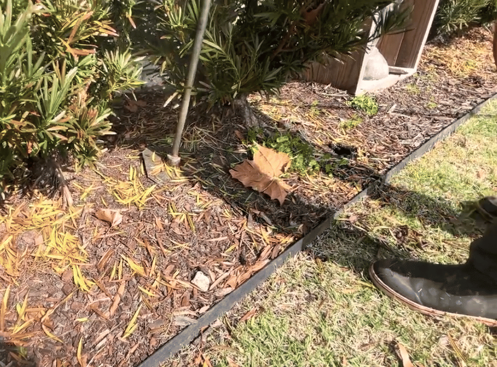 Livingston, LA Pruning Services