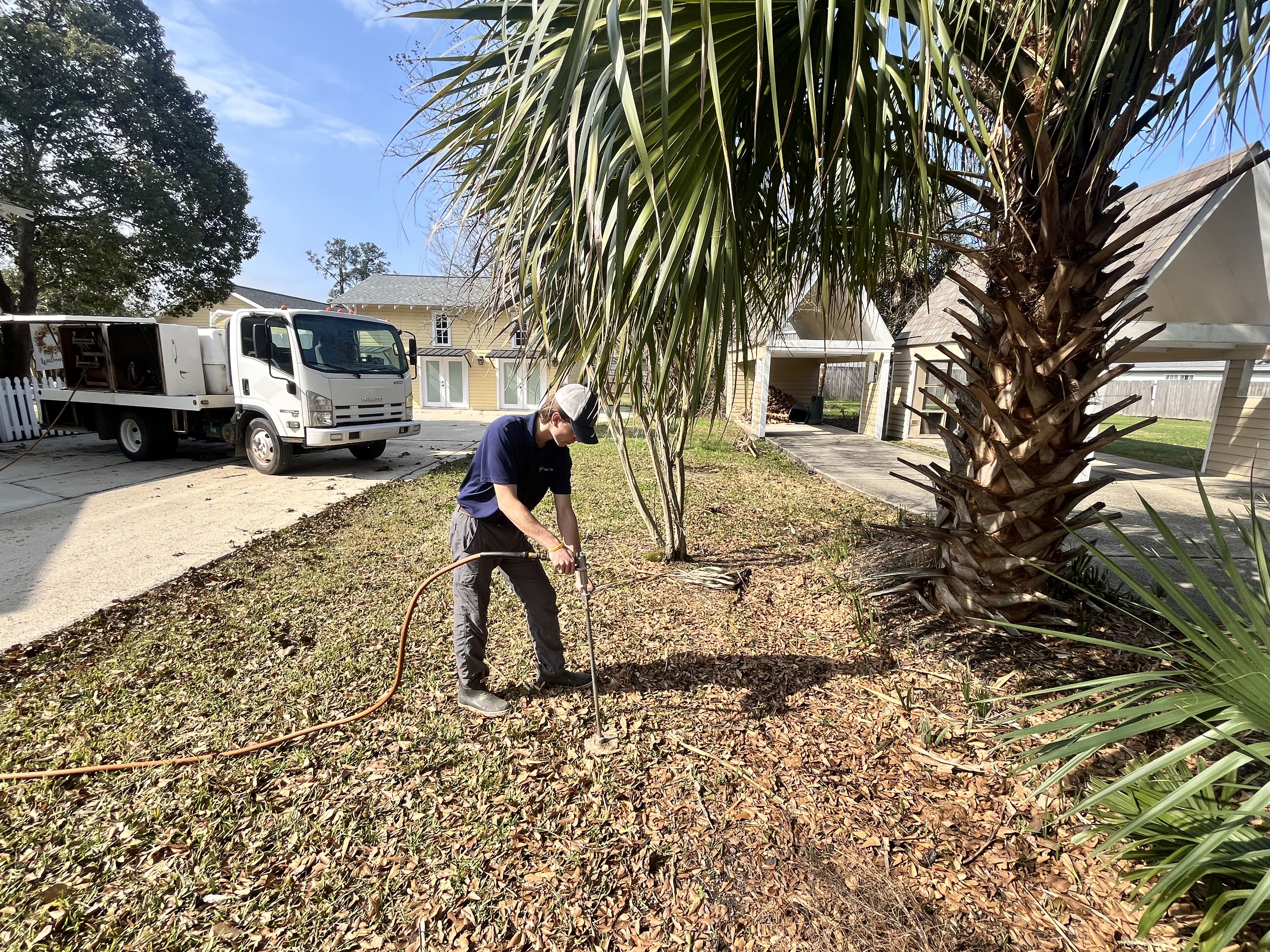 Tree Removal Services in Livingston, LA