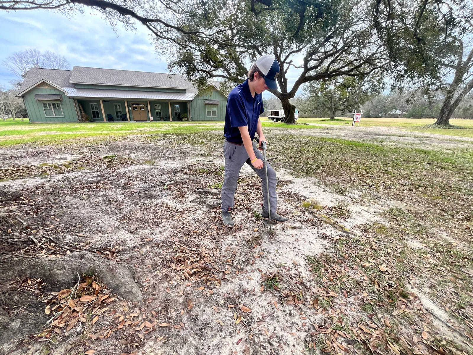 Tree Disease Management Slidell, LA