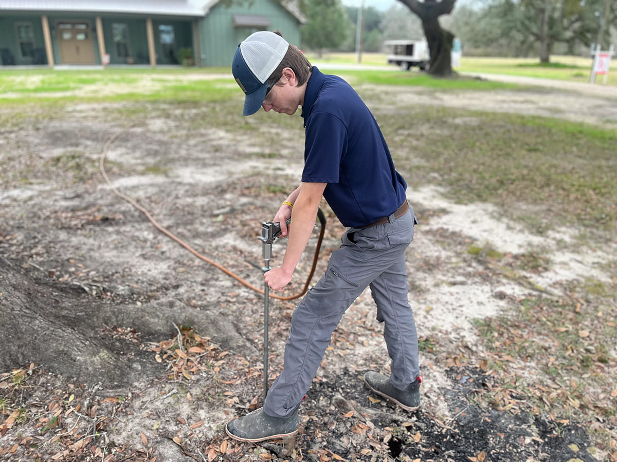 Tree debris removal technician clearing leaves and branches from yard after storm Tree debris removal technician clearing leaves and branches from yard after storm