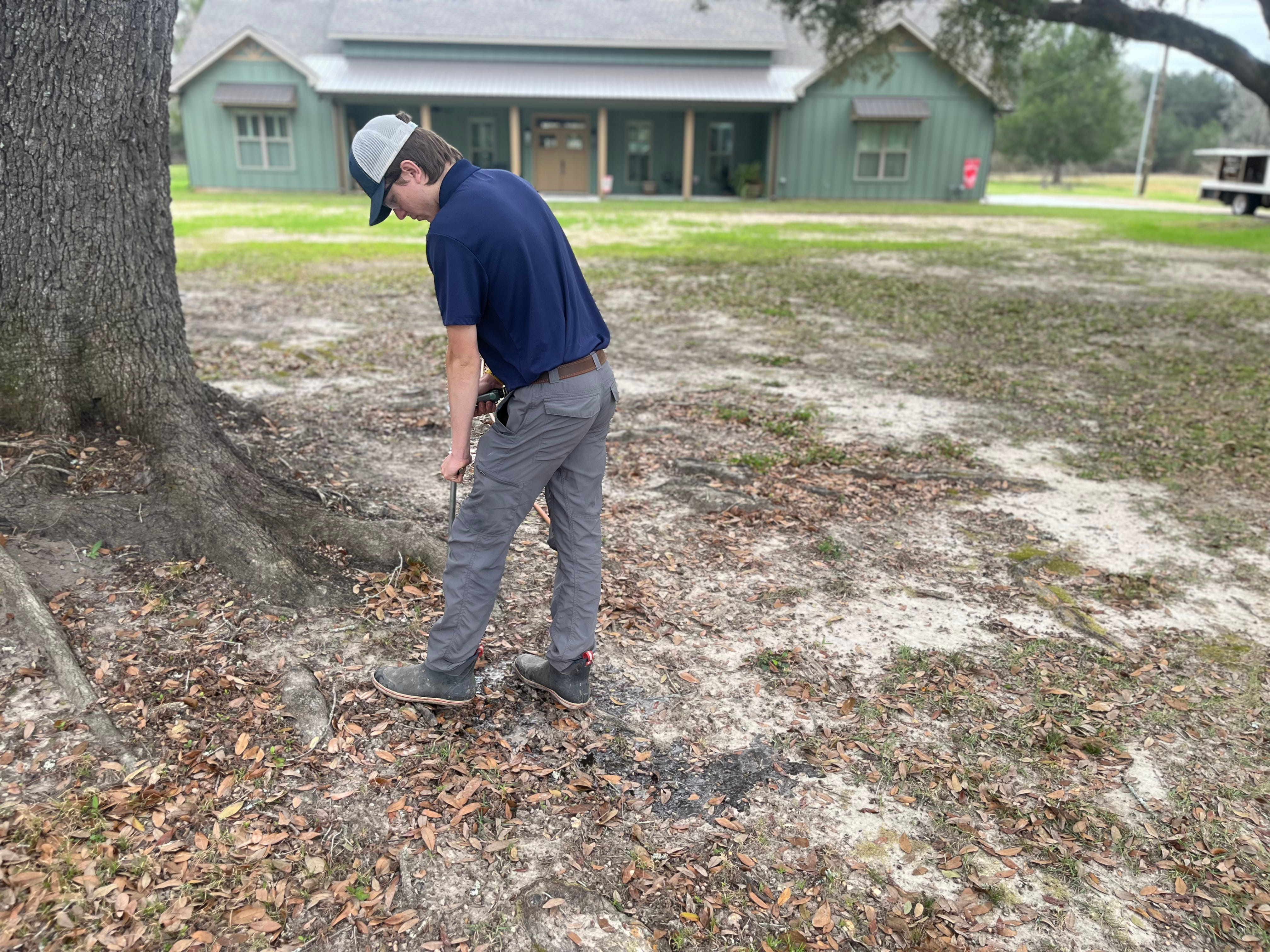Expert over seeing tree roots