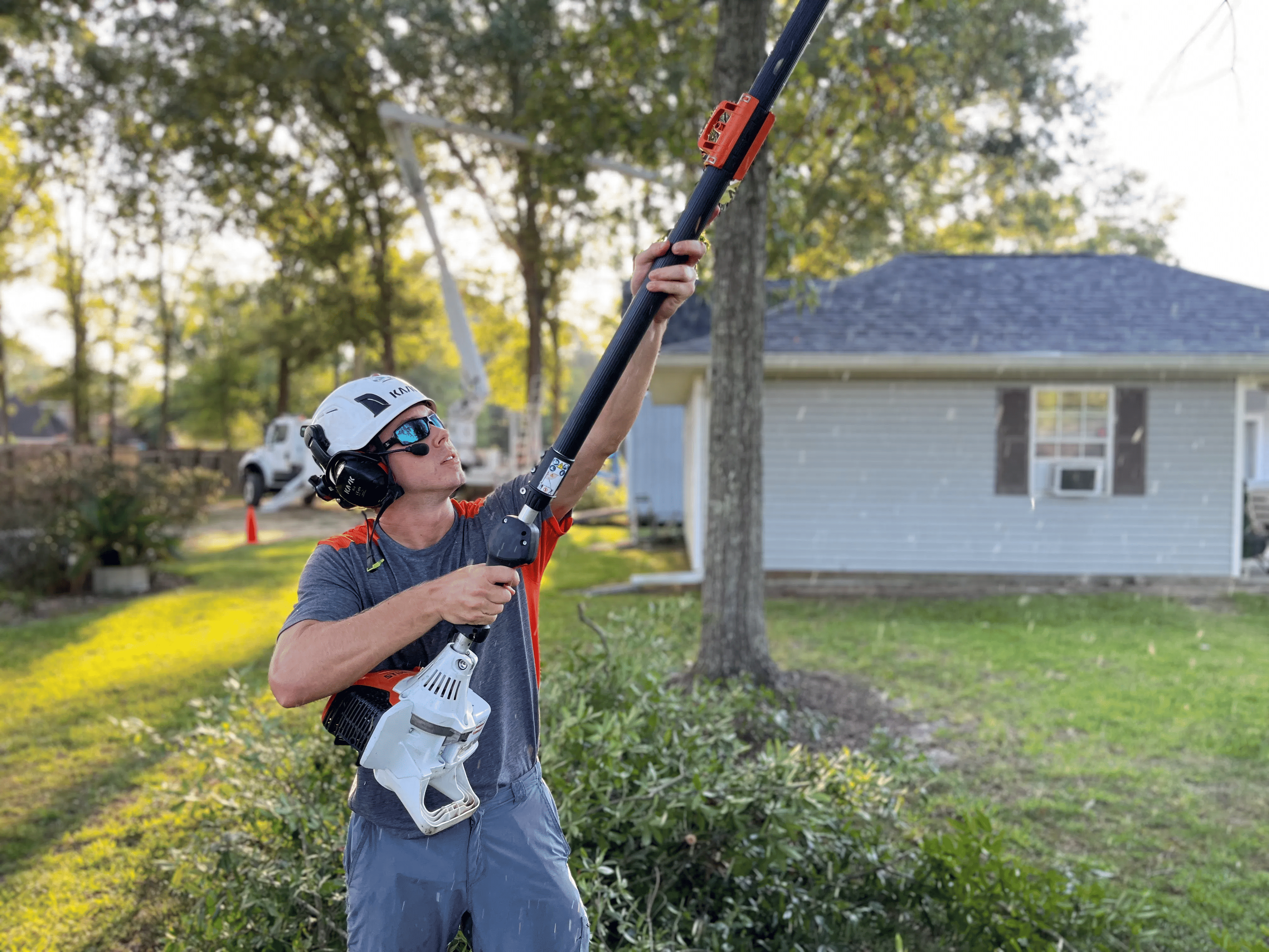 Tree Expert conducting maintenance on tree